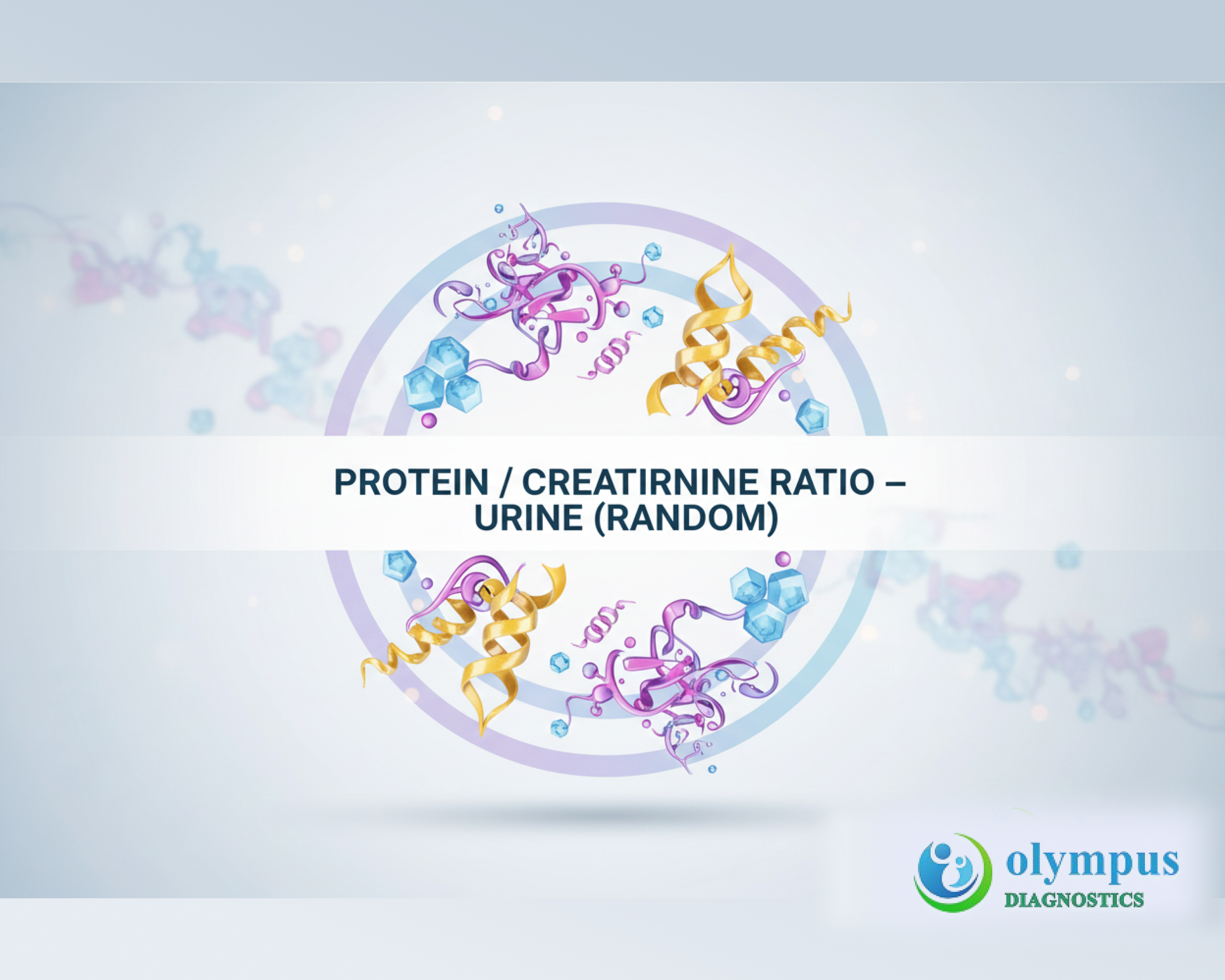 PROTEIN / CREATININE RATIO - URINE (RANDOM)