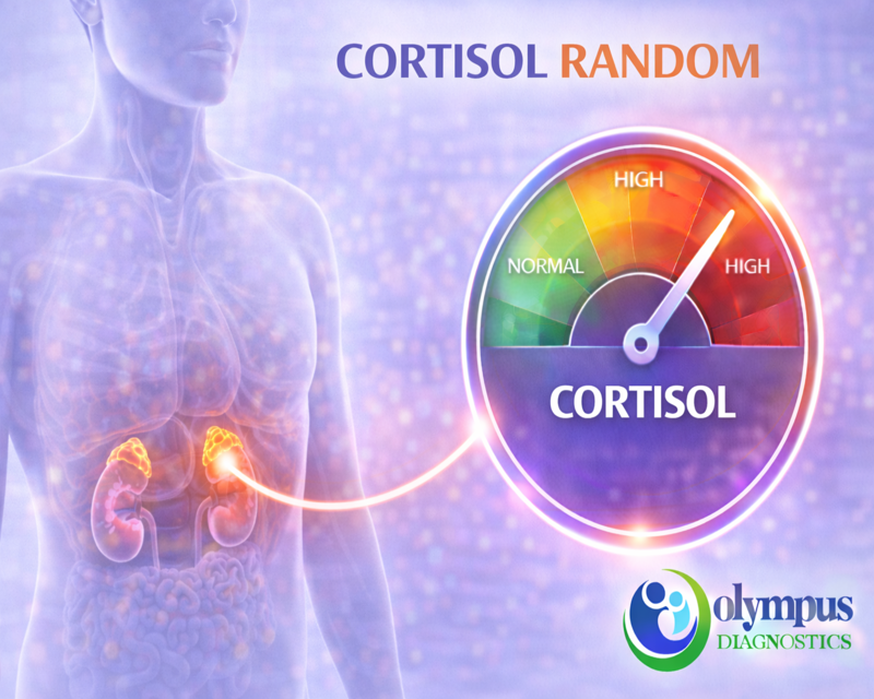 CORTISOL RANDOM