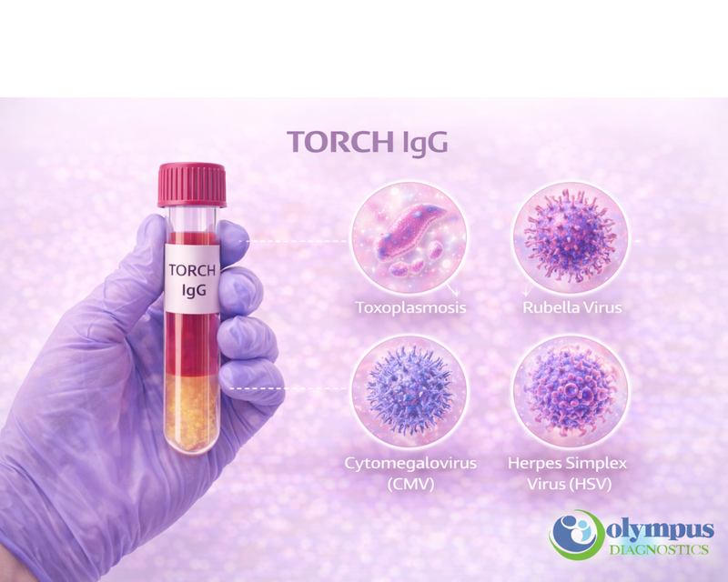 TORCH IgG